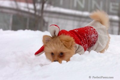 Feb14_08_339.jpg