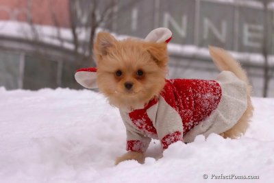 Feb14_08_341.jpg