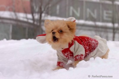 Feb14_08_343.jpg