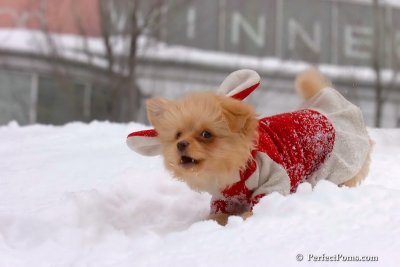 Feb14_08_344.jpg
