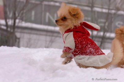 Feb14_08_345.jpg