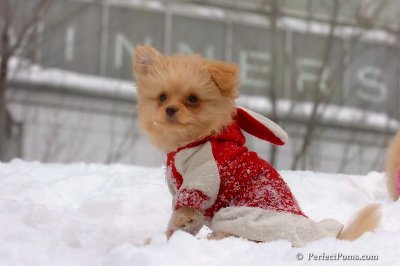 Feb14_08_346.jpg