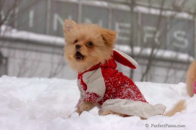 Feb14_08_347.jpg