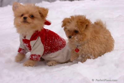 Feb14_08_351.jpg
