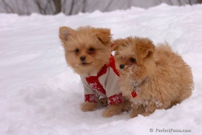 Feb14_08_353.jpg