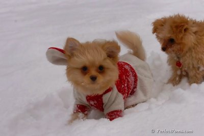 Feb14_08_354.jpg
