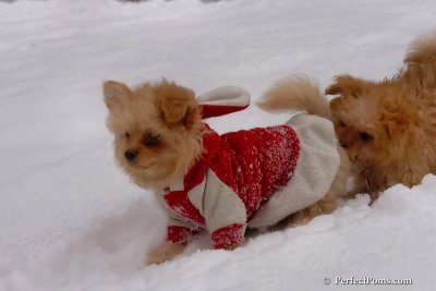 Feb14_08_355.jpg