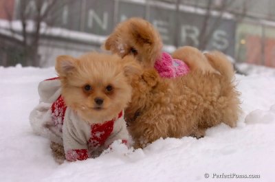 Feb14_08_357.JPG