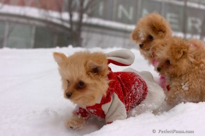 Feb14_08_358.JPG