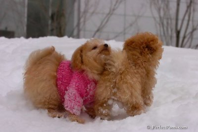 Feb14_08_361.jpg