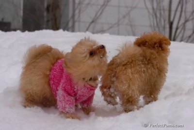 Feb14_08_362.jpg