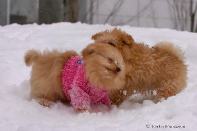Feb14_08_363.jpg