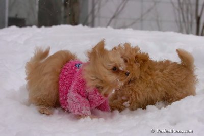 Feb14_08_364.jpg