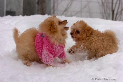 Feb14_08_365.JPG