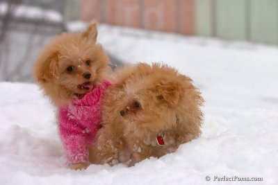 Feb14_08_368.jpg