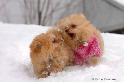 Feb14_08_370.jpg