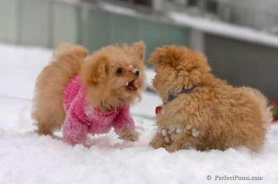 Feb14_08_372.JPG