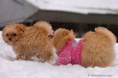 Feb14_08_376.JPG