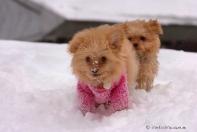 Feb14_08_377.jpg