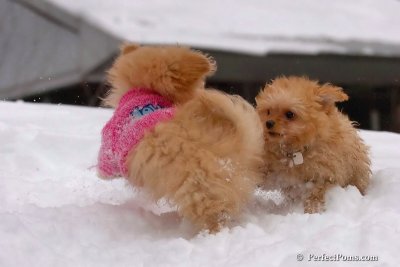 Feb14_08_378.jpg