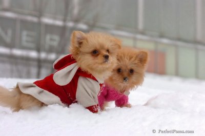 Feb14_08_200.JPG