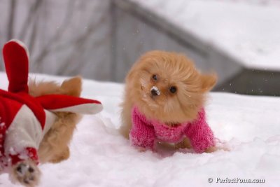Feb14_08_208.jpg