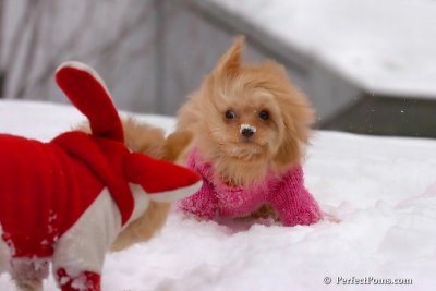 Feb14_08_210.jpg