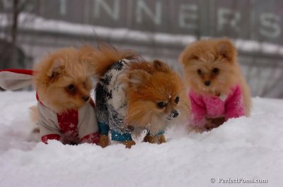 Feb14_08_218.JPG