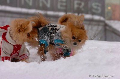 Feb14_08_220.JPG