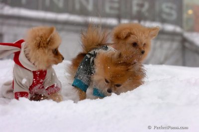 Feb14_08_221.JPG