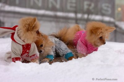 Feb14_08_223.JPG