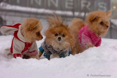 Feb14_08_225.JPG