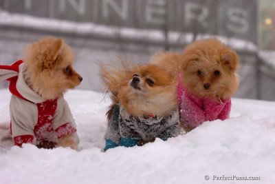 Feb14_08_227.jpg