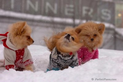 Feb14_08_229.jpg