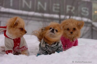 Feb14_08_230.jpg