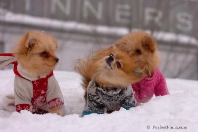 Feb14_08_231.jpg