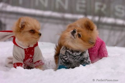 Feb14_08_232.jpg