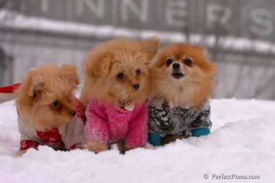 Feb14_08_238.jpg