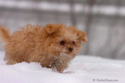 Feb14_08_258.jpg