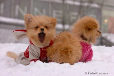 Feb14_08_274.jpg