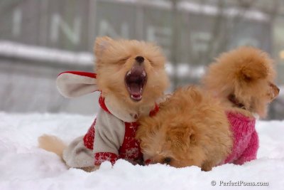 Feb14_08_275.jpg