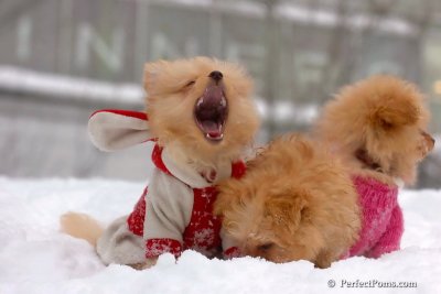 Feb14_08_276.jpg