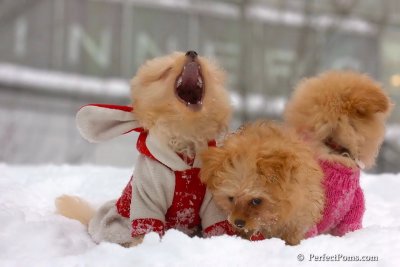 Feb14_08_277.jpg