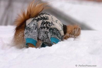 Feb14_08_002.jpg
