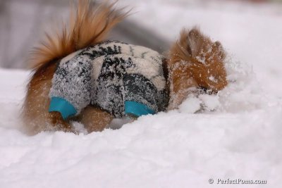 Feb14_08_003.jpg