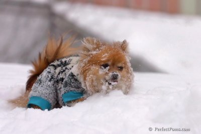 Feb14_08_005.jpg