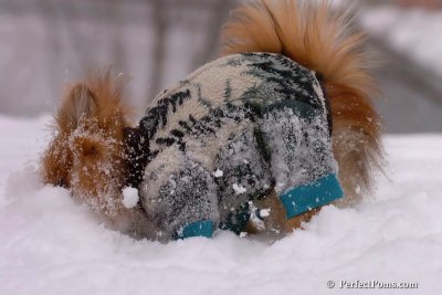 Feb14_08_007.jpg