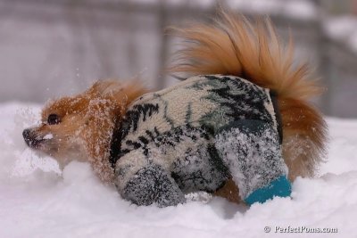 Feb14_08_008.jpg