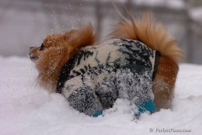 Feb14_08_009.jpg