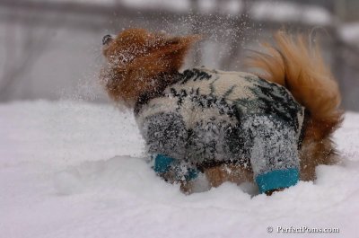 Feb14_08_010.JPG
